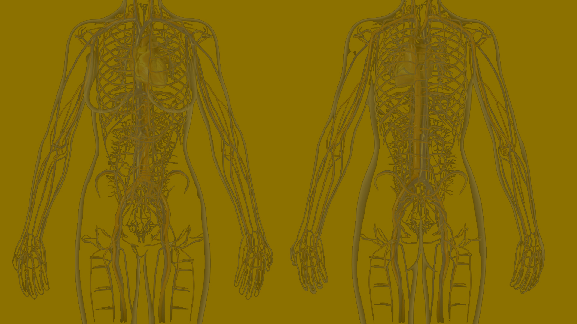 Genius Gesundheitszentrum Kieselbronn -Osteopathie - Geschichte -